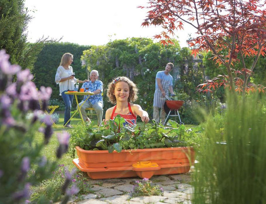 Hozelock - Zelf Bewaterende Kweekbak - Mini Moestuin