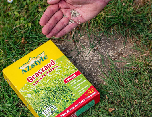 Ecostyle - Graszaad voor kale plekken - herstel - 1kg